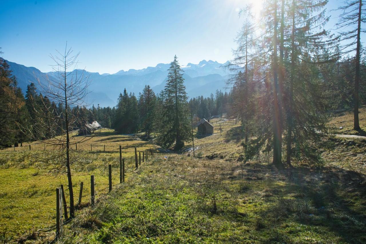 Ferienwohnung Stoablick - Barrierefrei Mit Bergblick باد غويسرن المظهر الخارجي الصورة